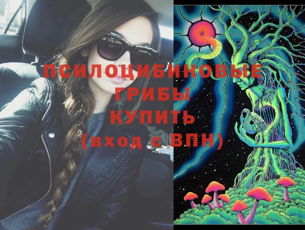 первитин Кукмор