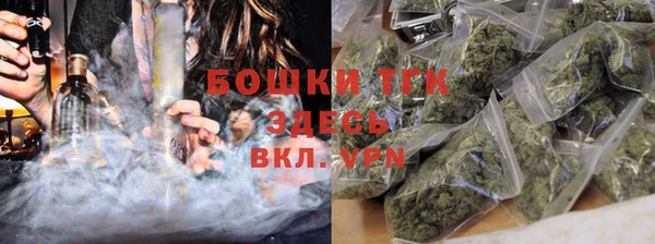 ГАЛЛЮЦИНОГЕННЫЕ ГРИБЫ Кулебаки
