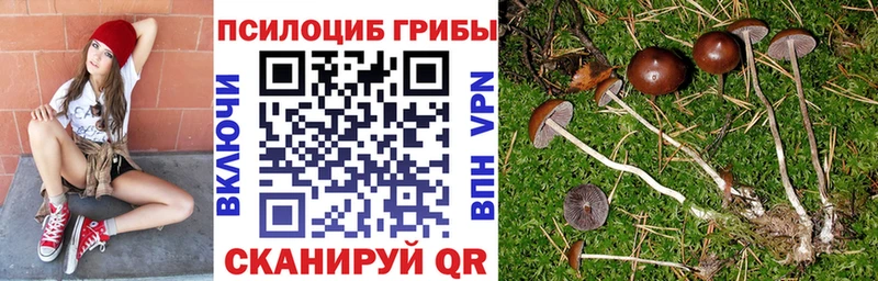 Галлюциногенные грибы прущие грибы  Купить где  Курск 